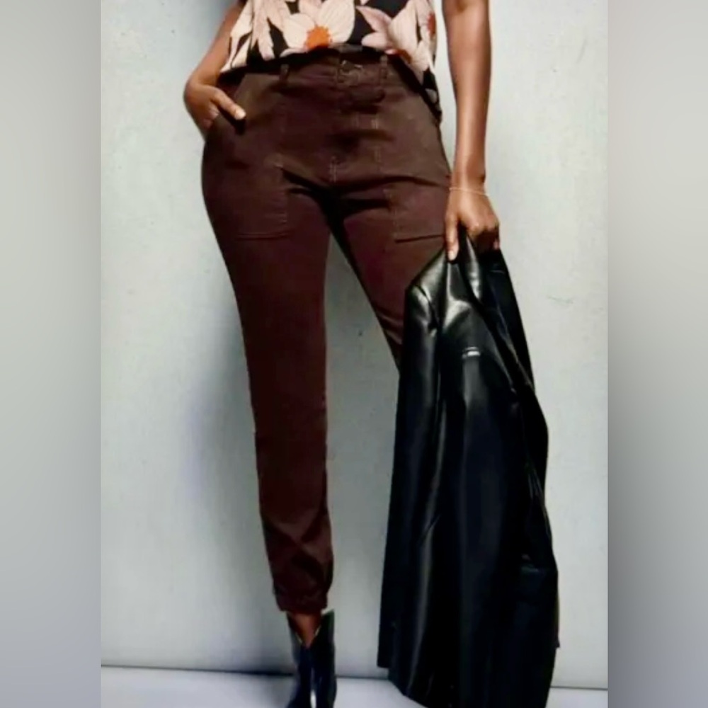 NWT cabi Compass Pant (4514); Size 10; Brown